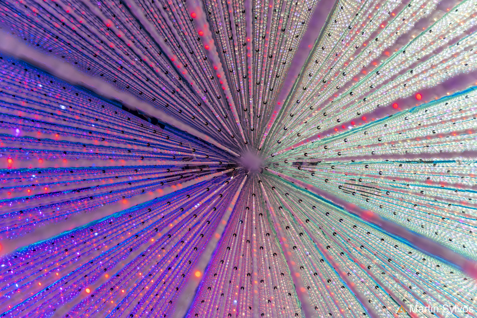 2025 Japon martin sylvos 48